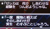 お告げを聞くと、「……は 何か しあわせな 経験を つんだようじゃな。一度 魔物と戦えば そのしあわせが 実を むすぶことじゃろう」などと言われます。